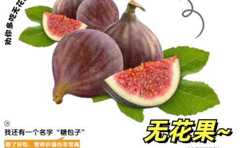 煅灵磁石的功效与作用及禁忌-煅灵磁石的功效与作用网灵磁石和煅磁石的区别知识网站,分享煅磁石功效与作用的功效与作用大全