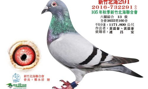 煅磁石的功效和作用主治-煅灵磁石的功效与作用网灵磁石和煅磁石的区别知识网站,分享煅磁石功效与作用的功效与作用大全