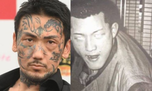 煅灵磁石的功效与作用网灵磁石和煅磁石的区别知识网站,分享煅磁石功效与作用的功效与作用大全