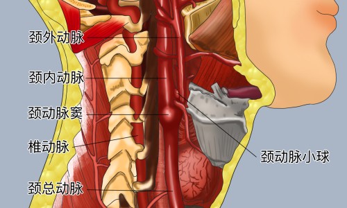 煅磁石功效作用与主治-煅灵磁石的功效与作用网灵磁石和煅磁石的区别知识网站,分享煅磁石功效与作用的功效与作用大全